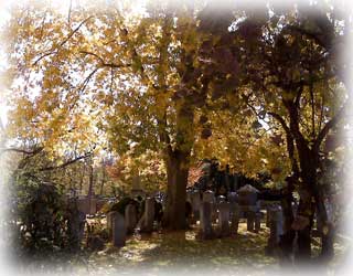 Cemetery in Autumn at Christ Church Shrewsbury