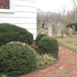 Hiding In Plain Sight