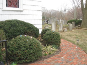 Hiding In Plain Sight