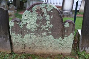 Example of Brownstone