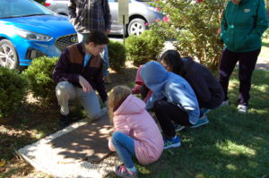 STUDYING ZILPHA HALSTEAD